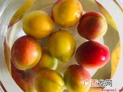 野山杏怎么吃