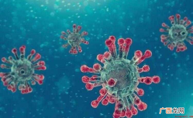疫情的网上学习方式作文范文 疫情的网上学习方式作文怎么写