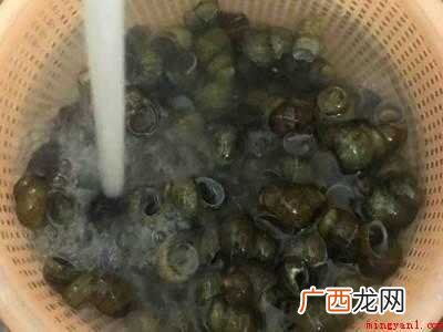 螺丝怎么吃