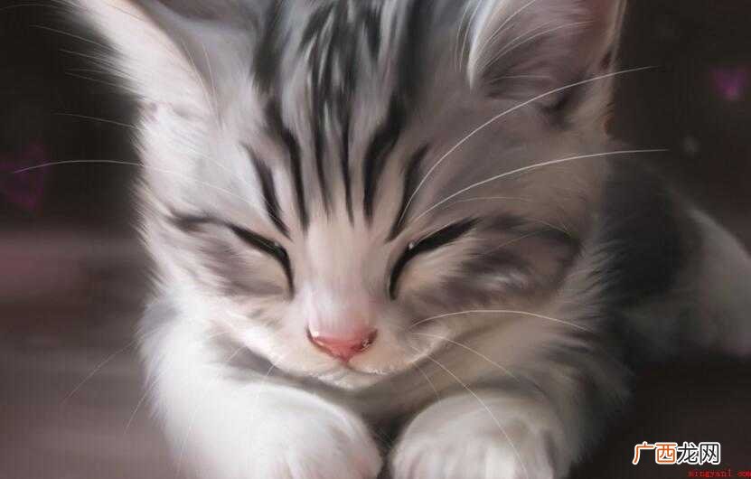 猫咪打完疫苗拉稀正常吗