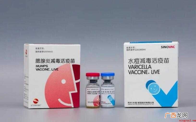 大人可以打水痘疫苗吗