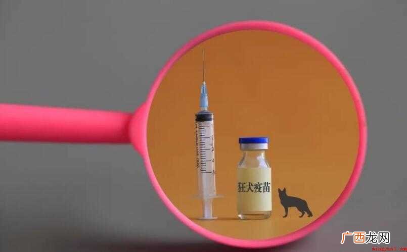 狂犬疫苗价格是否一样的