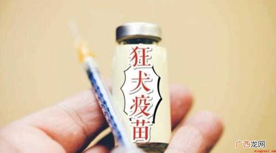 狂犬疫苗只打一针可以吗