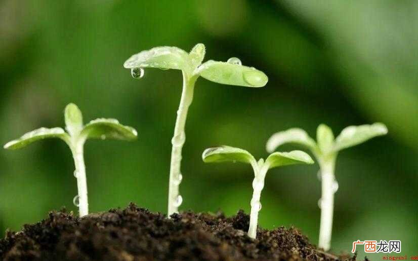 成长宣言简短的一句话有哪些