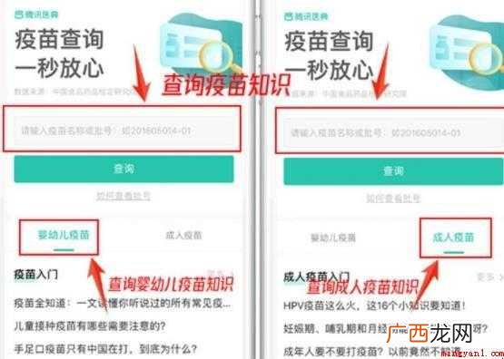 疫苗批号怎么查询