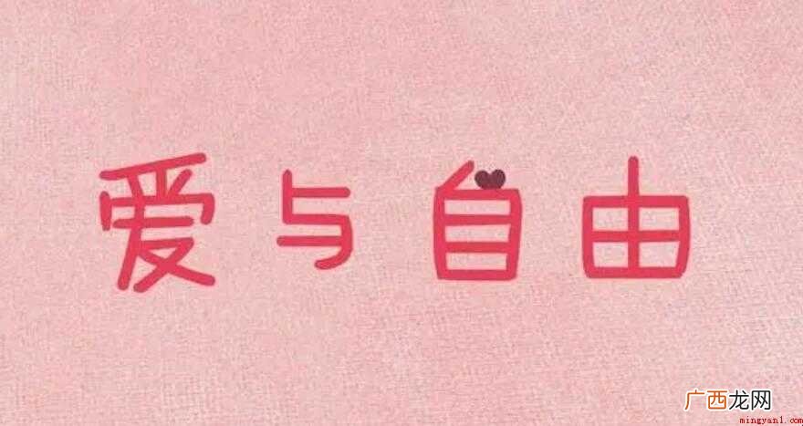《爱与自由》读后感怎么写