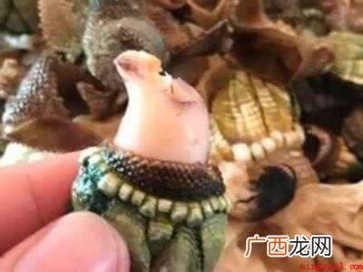 佛手螺怎么吃
