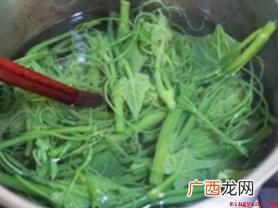 丝瓜苗怎么吃