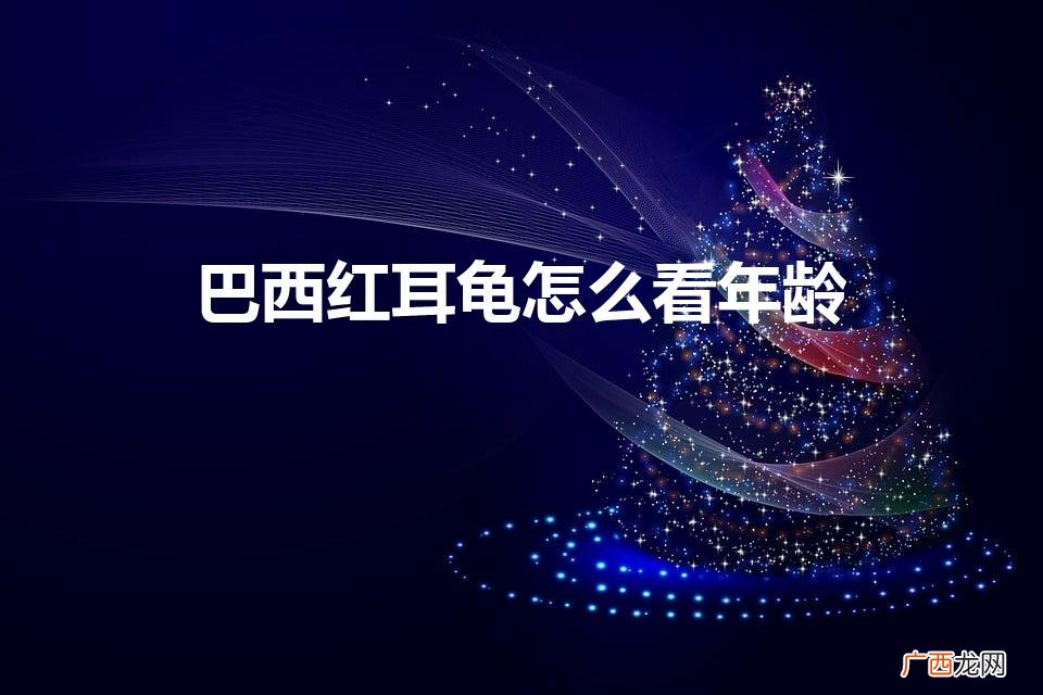 巴西红耳龟怎么看年龄（巴西红耳龟如何分辨年龄)