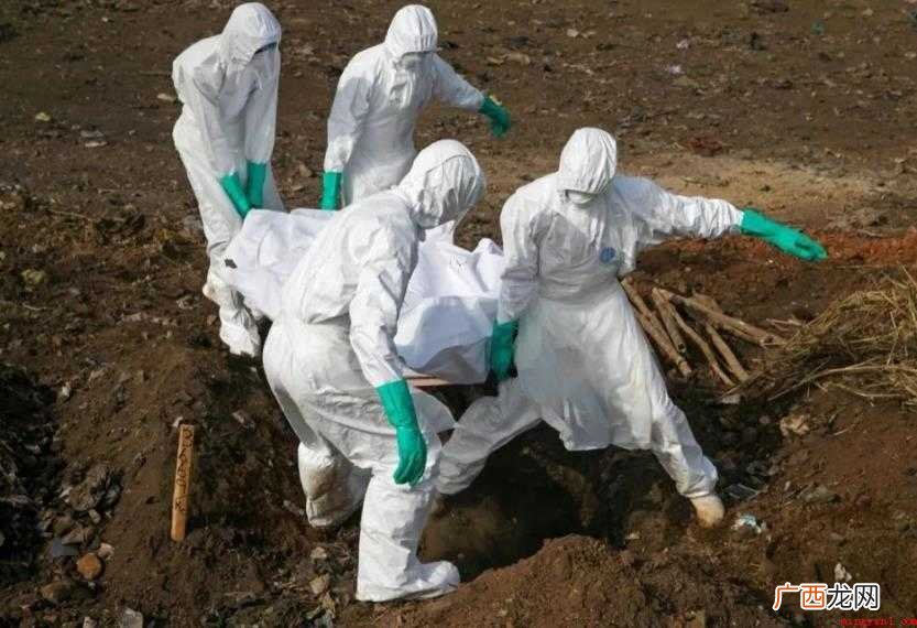 新冠严重还是埃博拉严重