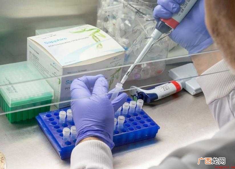 中国新冠疫苗研发最快的公司有哪些