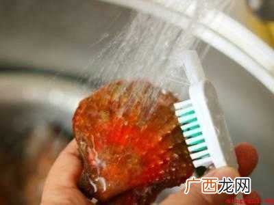 扇贝怎么吃