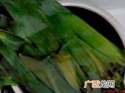 用芦苇叶如何包粽子步骤 用芦苇叶如何包粽子步骤简单