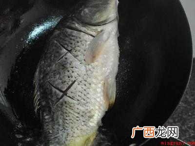紫苏怎么吃好吃又简单