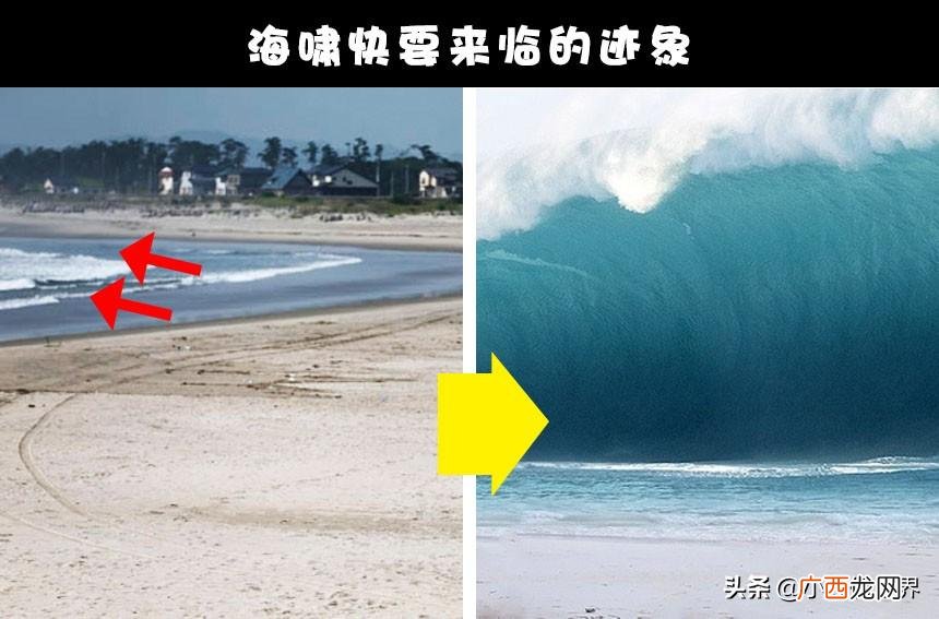 海啸来临前的各种迹象盘点 海啸来临前的预兆有哪些