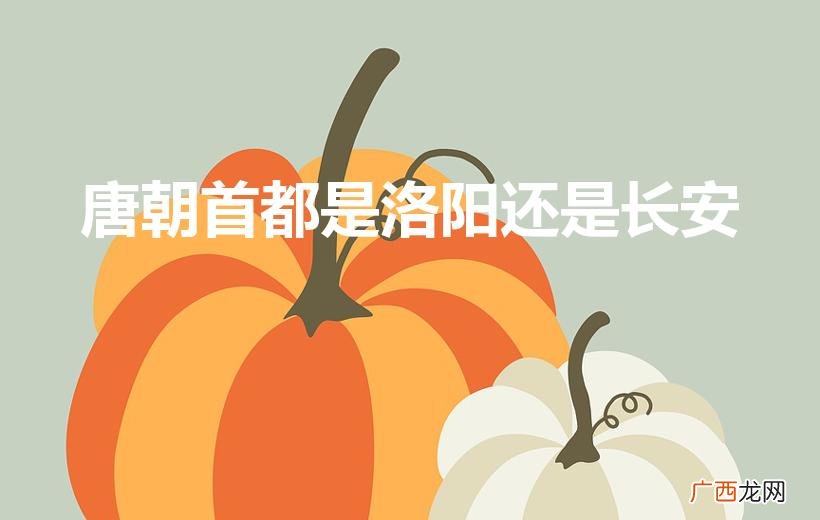 唐朝的首都是什么 唐朝首都是洛阳还是长安