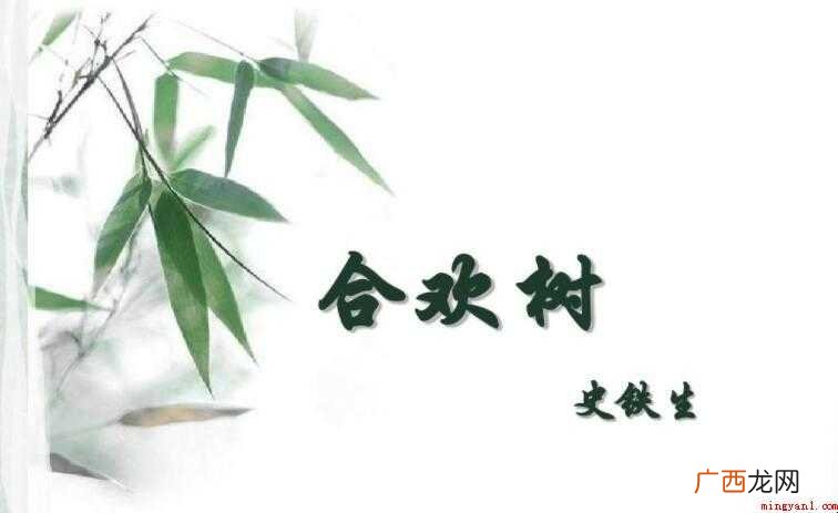 史铁生《合欢树》读后感怎么写