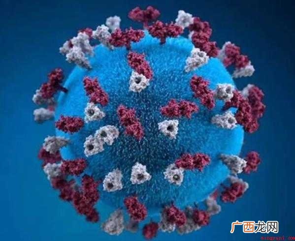 关于新冠肺炎的感想怎么写范文 关于新冠肺炎的感想怎么写