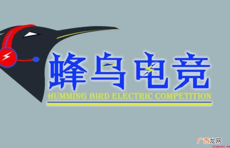 蜂鸟电竞有什么功能