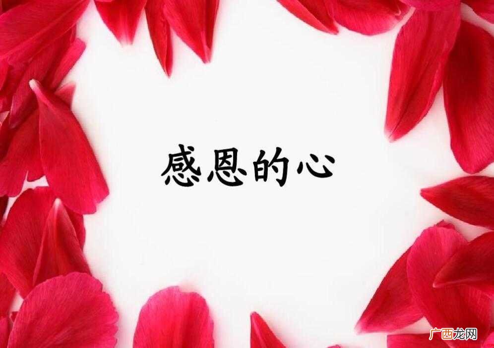 精选3篇 感恩的心的作文 感恩的心的作文怎么写