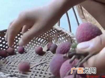 荔枝怎么晒成干的做法