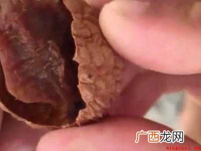 荔枝怎么晒成干的做法