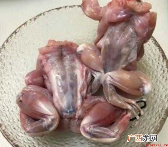 干锅田鸡的制作流程怎么样