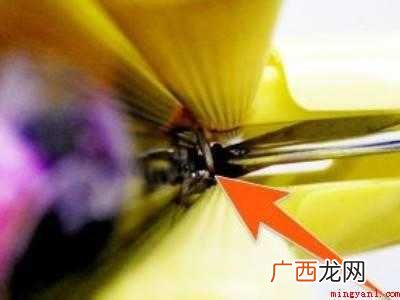 吸水拖把头怎么换头