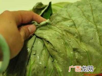 荷叶怎么吃