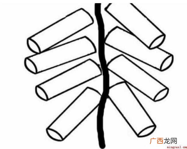 可爱的鞭炮的简笔画要怎么画 鞭炮简笔画怎么画