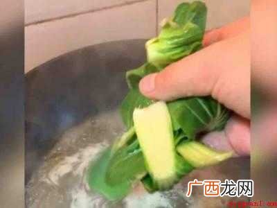 红薯粉丝怎么吃