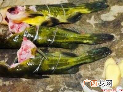 黄辣丁鱼汤怎么做好吃