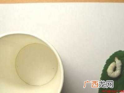 蚕宝宝吐丝的架子怎么做