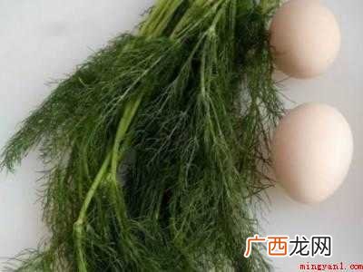 怎么吃茴香