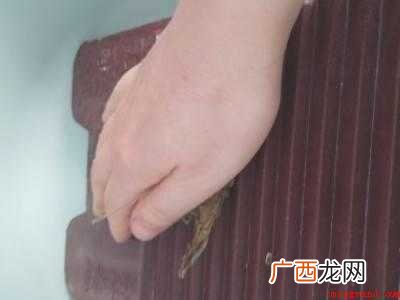 艾草怎么做成艾绒
