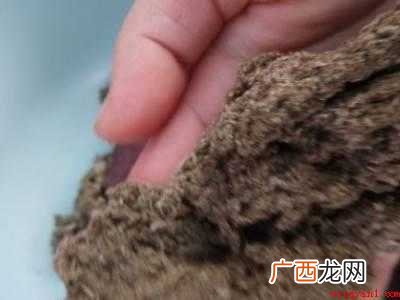 艾草怎么做成艾绒