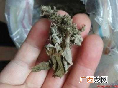 艾草怎么做成艾绒