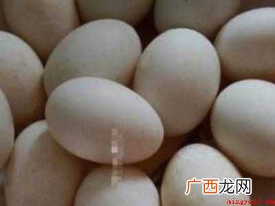 怎么做咸鸭蛋好吃又多油