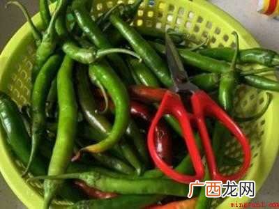 泡辣椒怎么做又脆又好吃