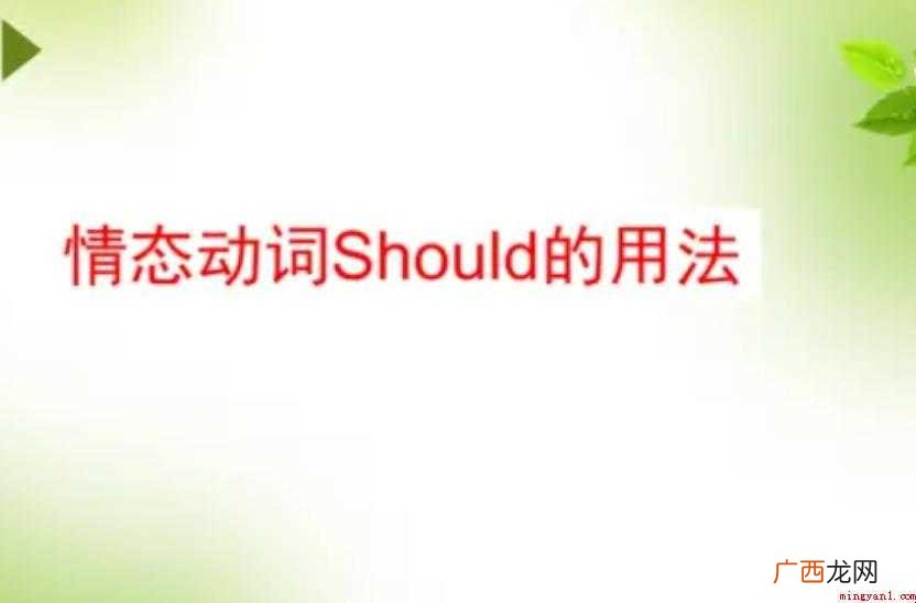 should的用法是什么