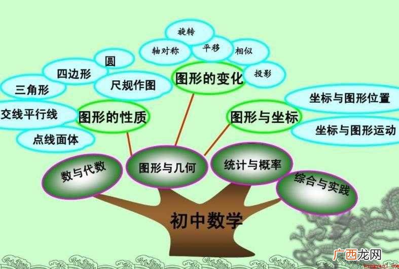 初中数学知识点有哪些