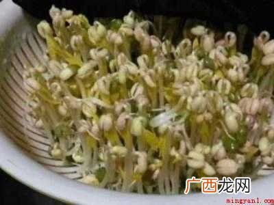 豆牙莱怎么发