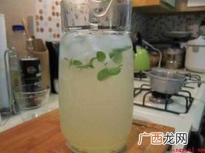 柠檬水制作方法和配方