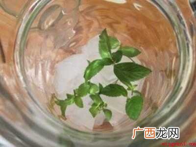 柠檬水制作方法和配方