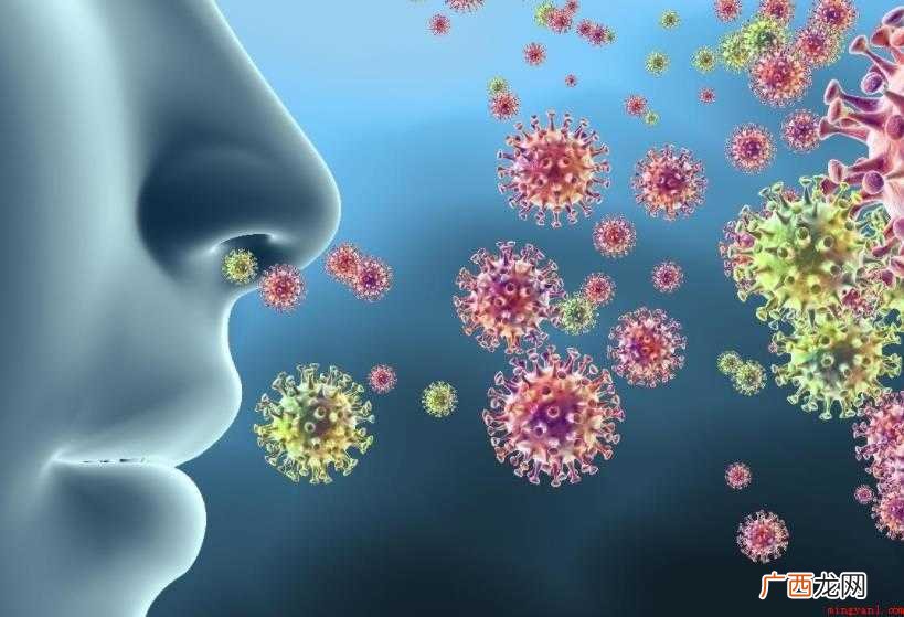 新型冠状病毒肺炎(Corona Virus Disease  新冠疫情怎么传播