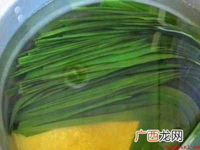 怎样煮粽叶有韧性