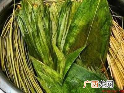 怎样煮粽叶有韧性