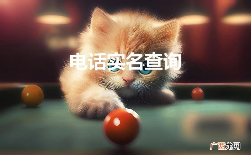 移动电话实名查询 电话实名查询