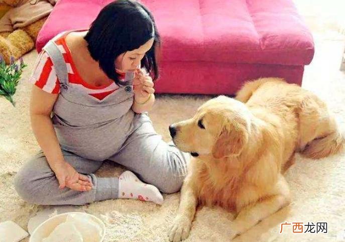 为什么宠物总爱和孕妇待在一起 猫为什么喜欢孕妇