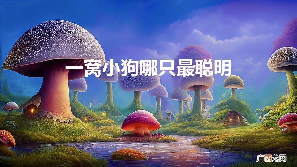 一窝小狗哪只最聪明（选土狗口诀一龙二虎三菜狗)